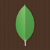 mongodb_logo.png
