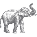 onekingslane_logo.png